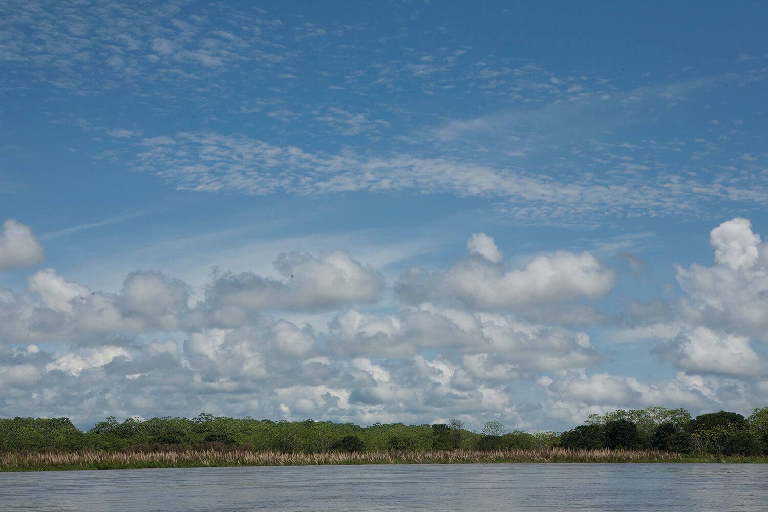 AMAZONAS 27 rio galeria_MG_4661.jpg